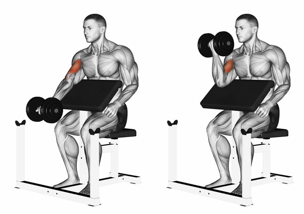 Preacher curl stations offer similar benefits to using the arm blaster.
Pictured: two images showing how to one hand bicep curl.