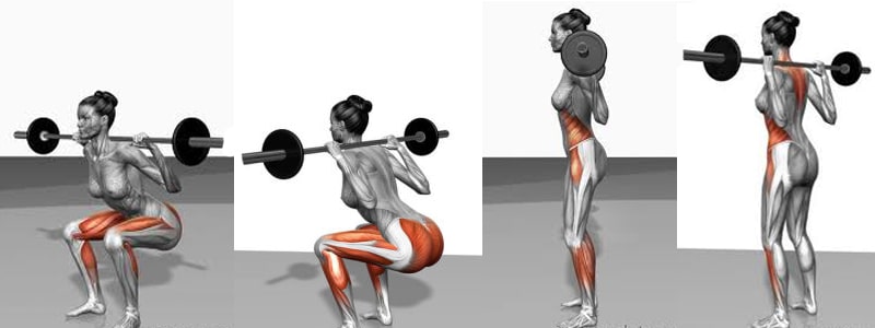 Barbell back squats are highly effective, but straining and take their toll on the body. The Belt Squat Machine is significantly less problematic.